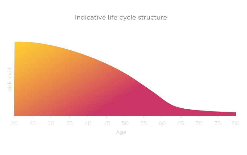 Indicative Life Cycle Structure